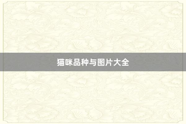 猫咪品种与图片大全